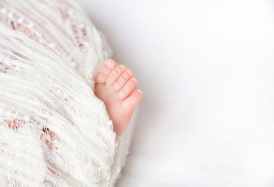 newborn